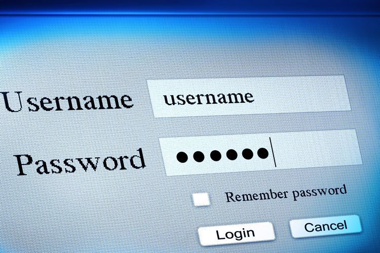 username password fields