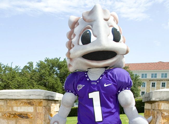 texas christian university mascot