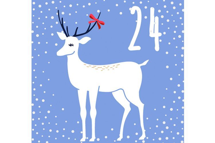 advent day 24