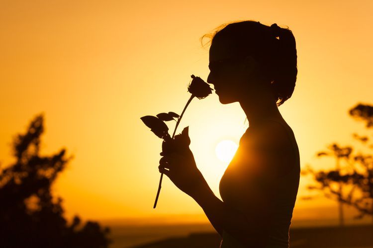 smelling rose at sunset
