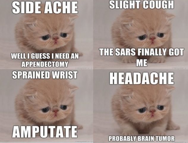 sad cat feels sickly