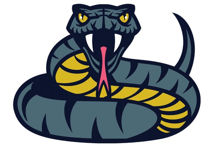 viper snake