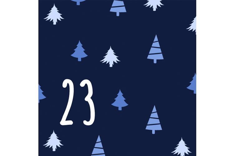 advent day 23