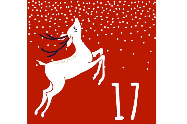 advent day 17