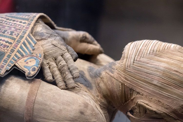 ▷ Mummy Money, uma experiência EGIPTIAN - Bodog