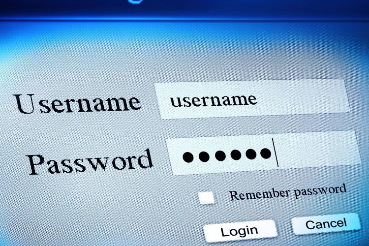 username and password fields