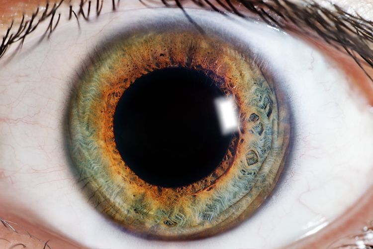 closeup of eyeball