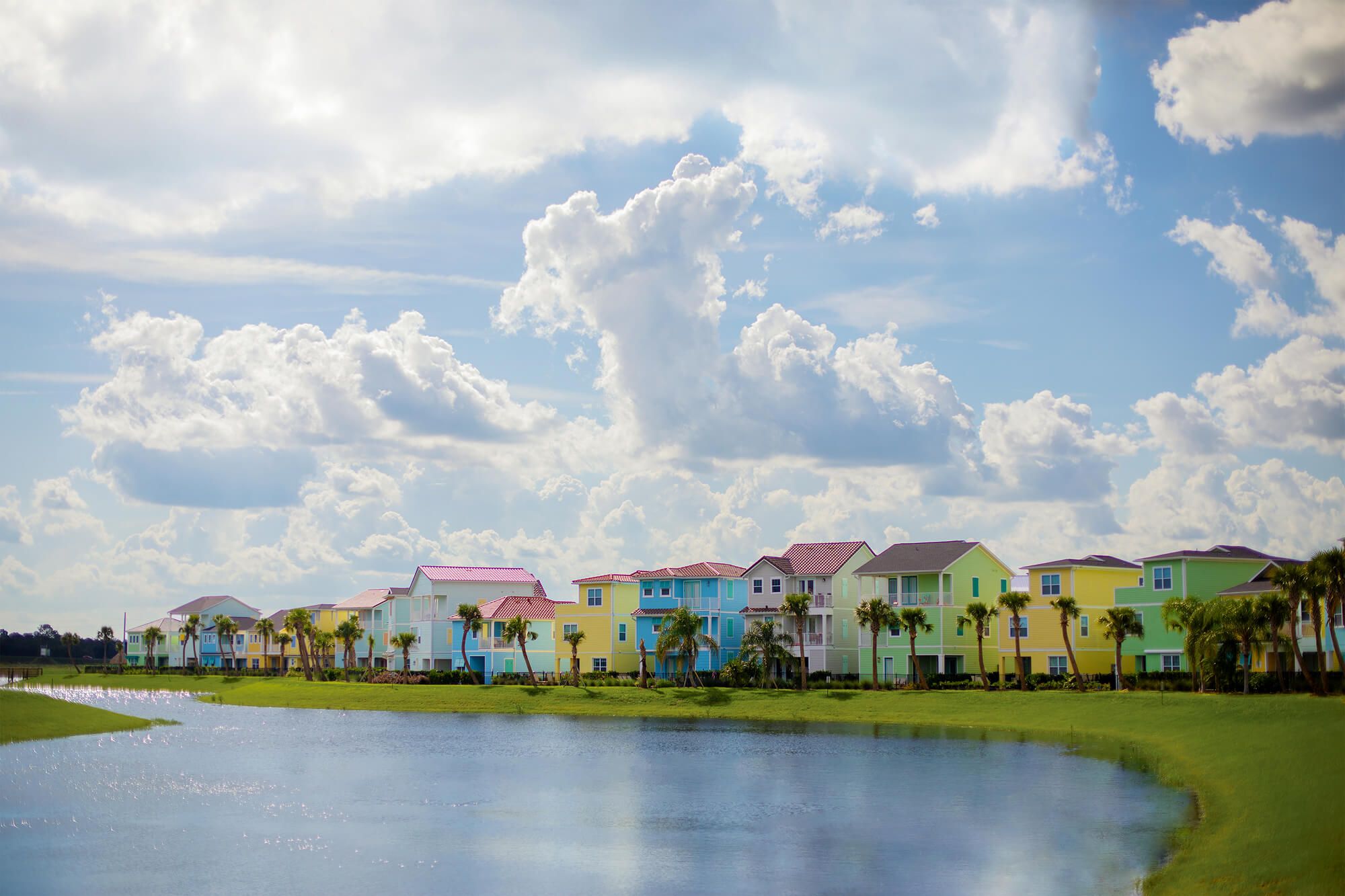 Orlando  image 5