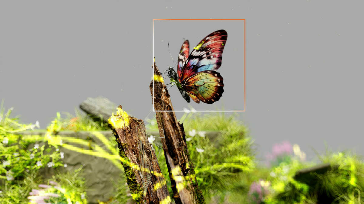 AI software identifying a species on screen