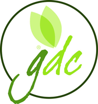 PV{name} Logo