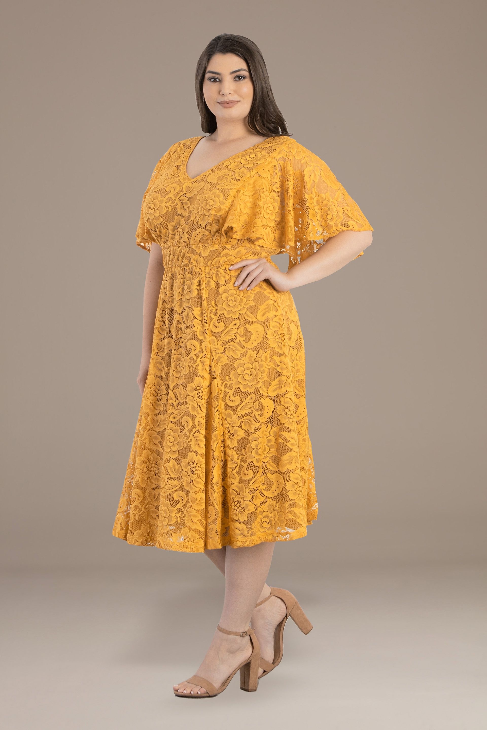 Plus Size Camille Lace A-Line Dress | David's Bridal