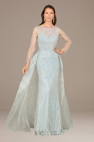 Picture of Lara Long Sleeve Organza Gown with Overskirt