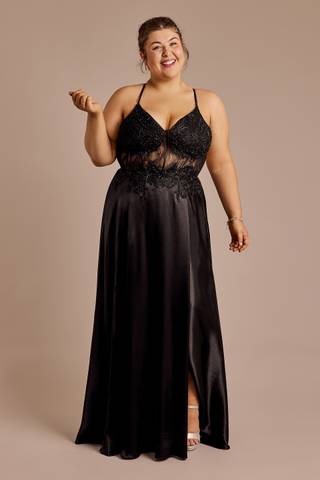 Picture of Charmeuse A-Line Dress with Appliqued Bodice