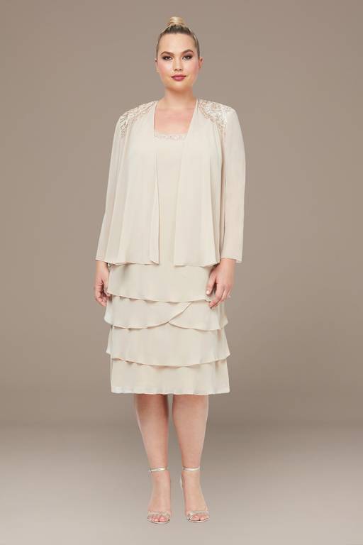 drop waist dress on plus size molliedaniela on LTK