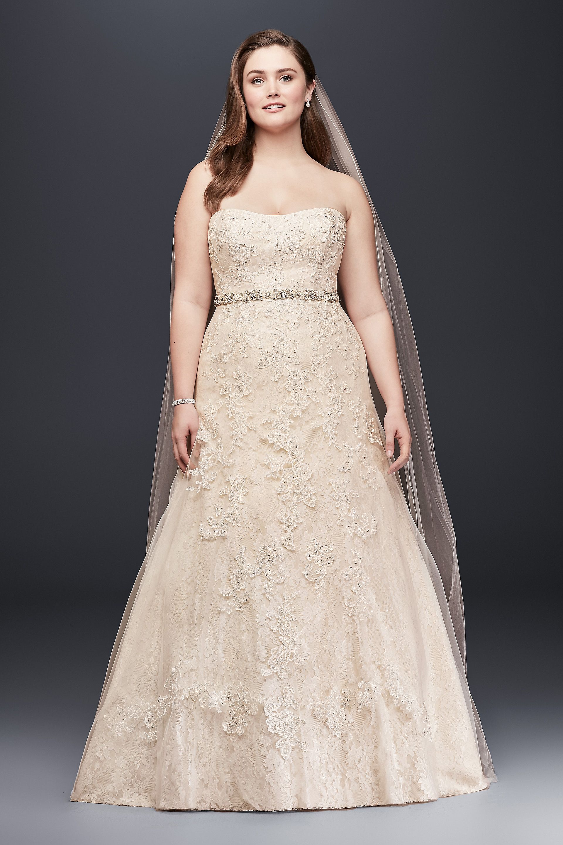 Picture of As-Is Lace A-Line Beaded Plus Size Wedding Dress