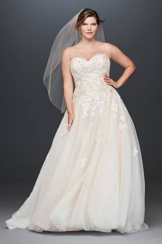 Picture of Lace Applique Plus Size Wedding Dress