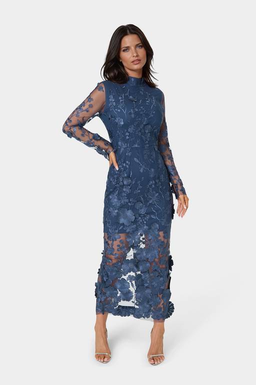 embroidered maxi dress with sleeves 3D Floral Embroidered Puff Sleeve A-line Maxi Dress with Petal-Adorned  Illusion Neckline