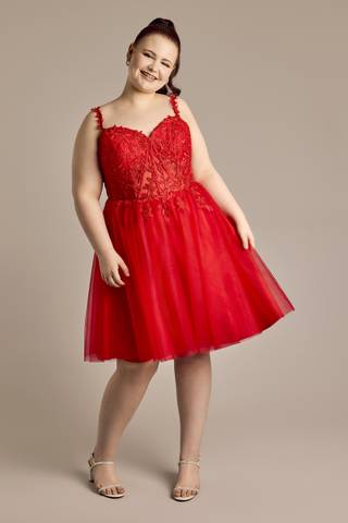 Picture of Illusion Corset Appliqued A-Line Mini Dress
