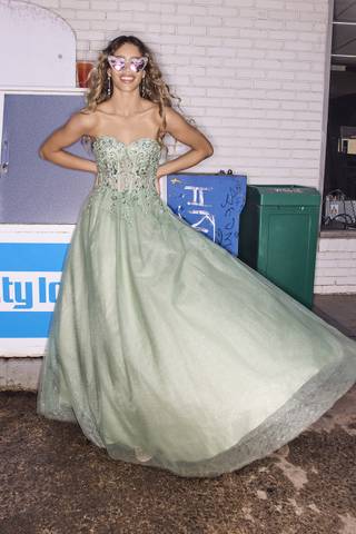 View Jules and Cleo Glitter Tulle Ball Gown with Bodice Appliques in all available color and sizes Picture of Glitter Tulle Ball Gown with Bodice Appliques