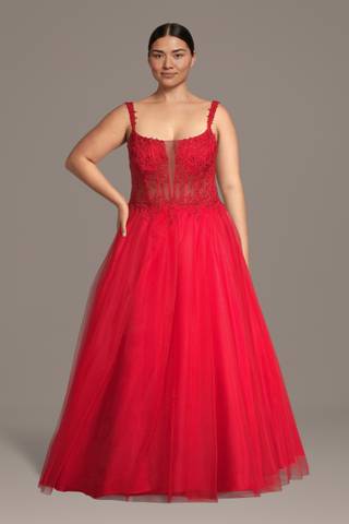 View Jules and Cleo Tulle Illusion Plunge Ball Gown with Appliques in all available color and sizes Picture of Tulle Illusion Plunge Ball Gown with Appliques