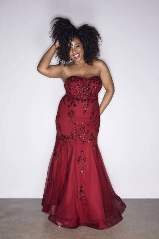Picture of Strapless Tulle Lace Applique Mermaid Dress