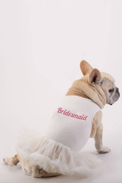 large dog bridesmaid dress Big Dog Wedding Dress | Poshdoglife.com