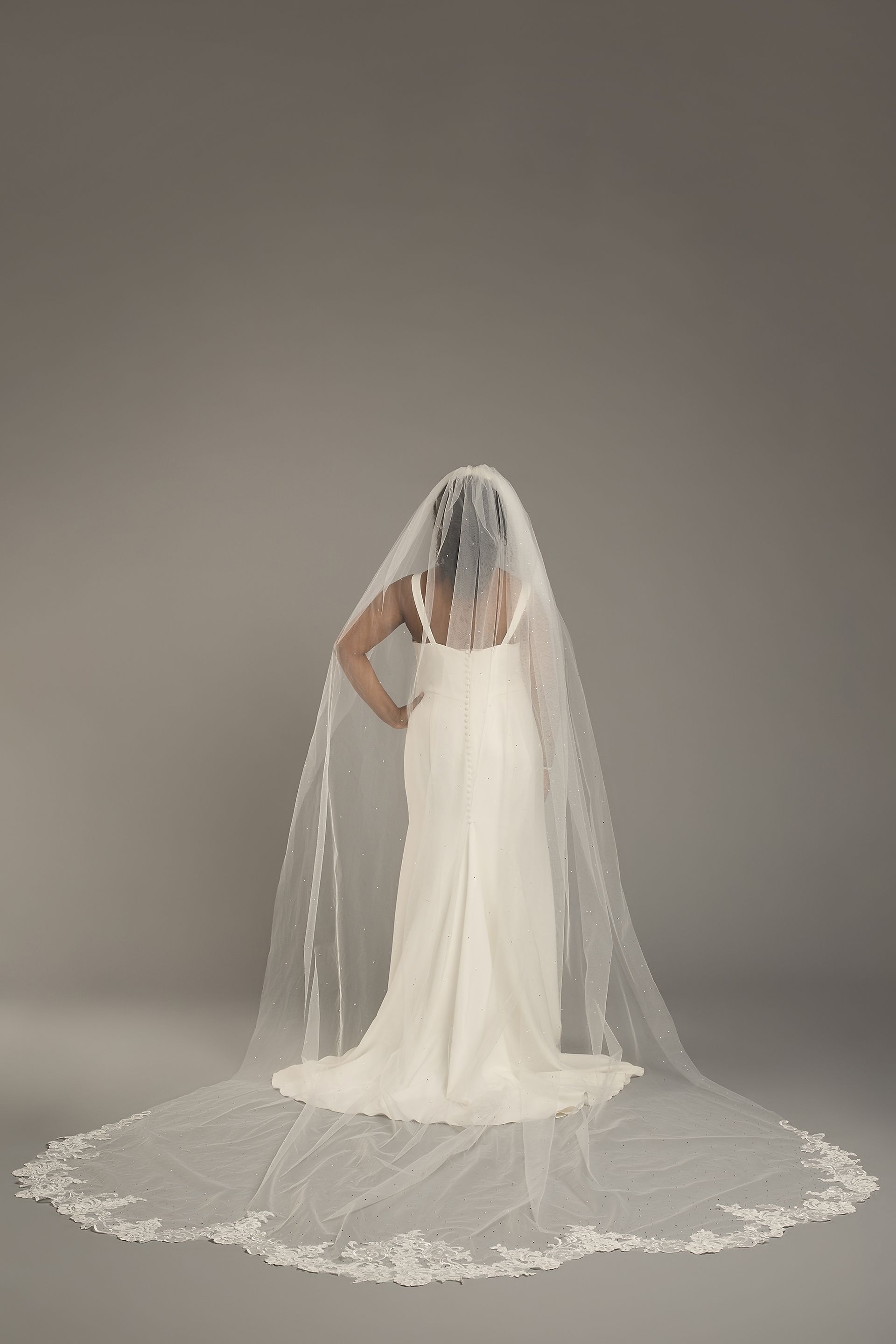 Scattered Rhinestone Lace Edge Royal Veil | David's Bridal
