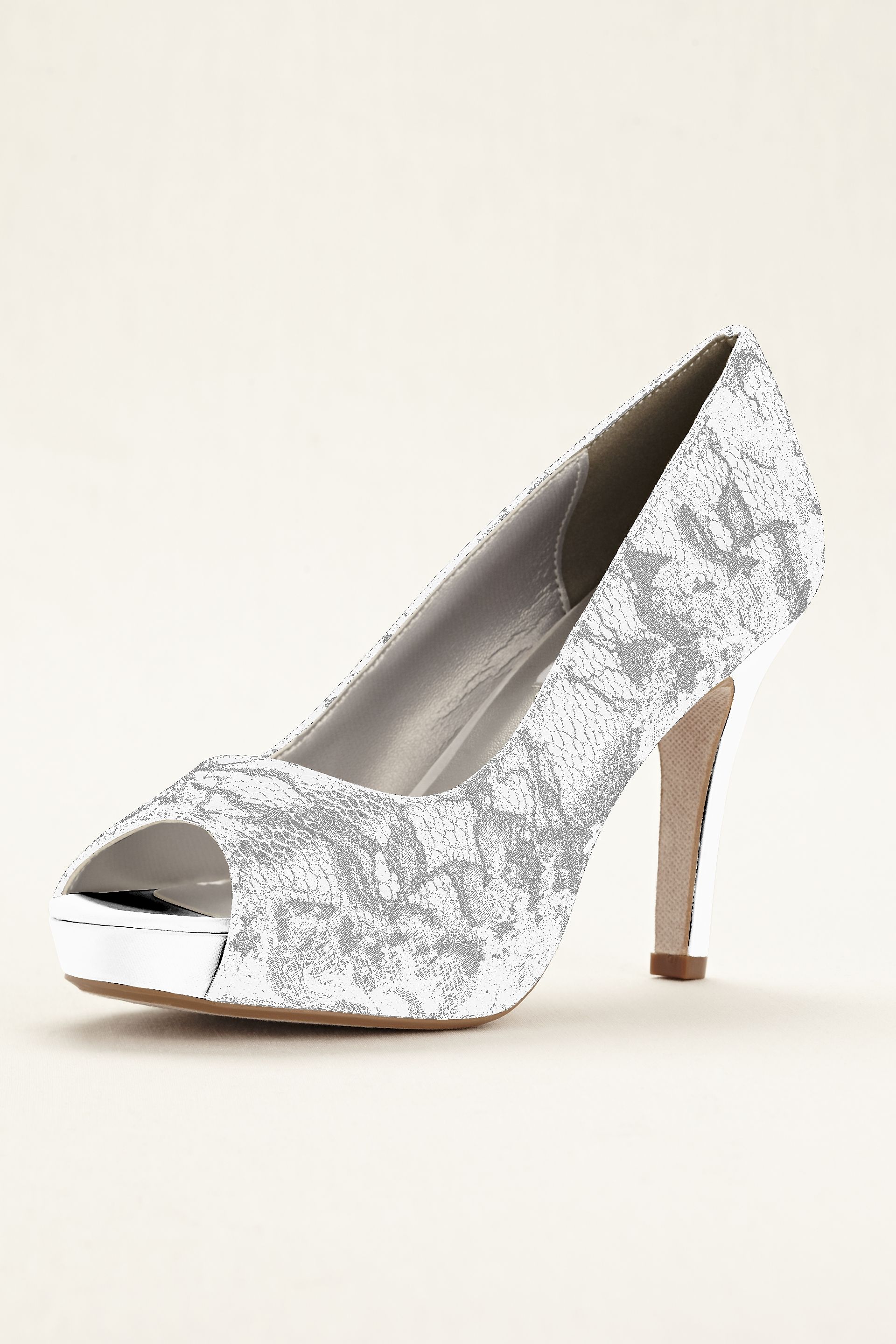 Picture of Winter Dyeable Metallic Lace Pump