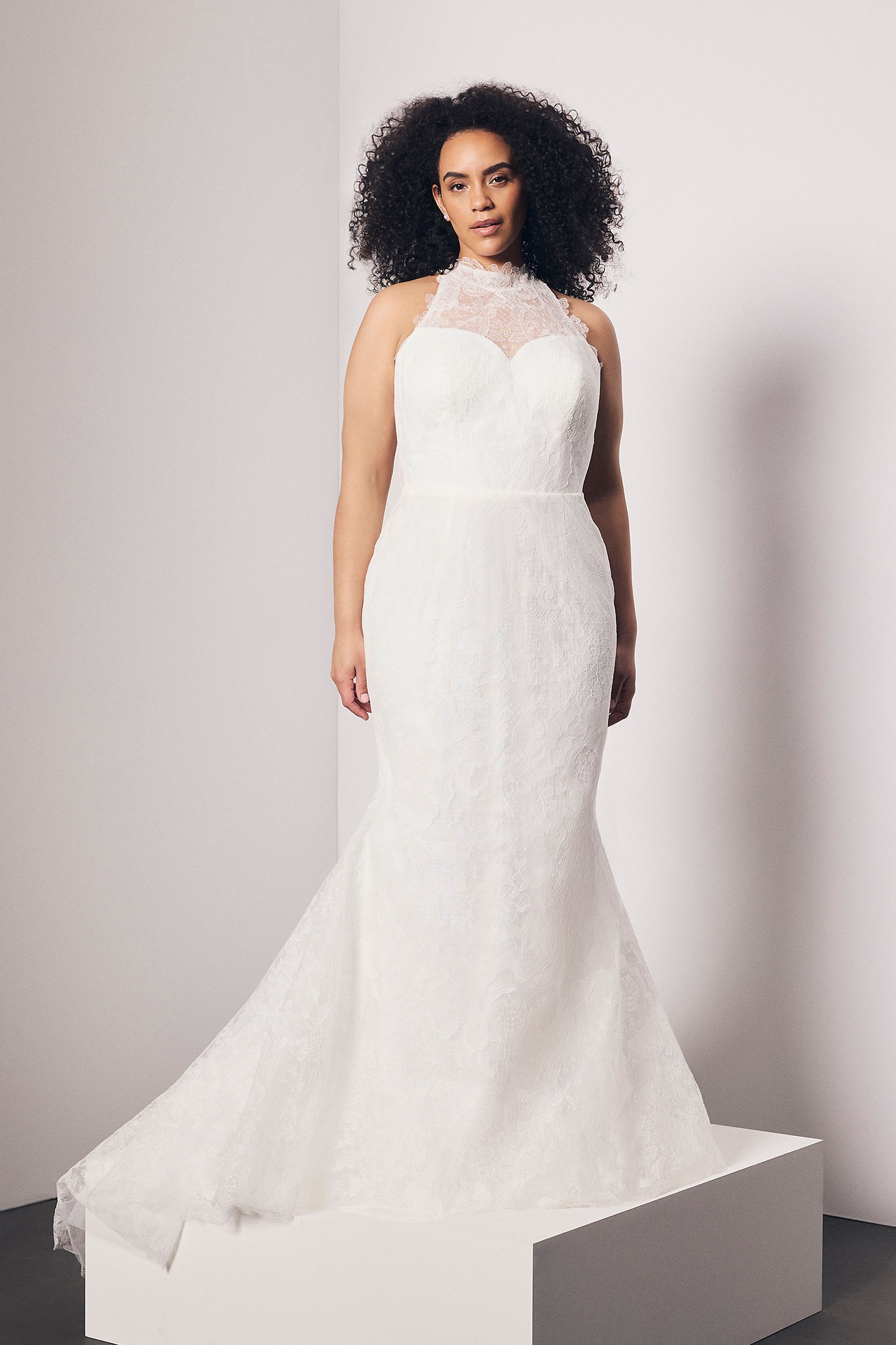 View Vera Wang Bride Lace High Neck Mermaid Gown with Bow Sash in all available color and sizes Picture of Lace High Neck Mermaid Gown with Bow Sash