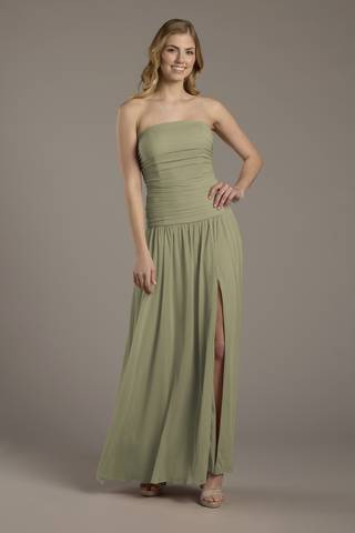 View Celebrate DB Studio Mesh Strapless Drop Waist Dress in all available color and sizes Picture of Mesh Strapless Drop Waist Dress