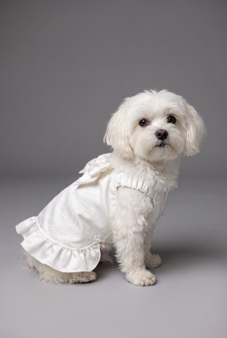 Picture of Satin Cord Lace Dog Wedding Dress