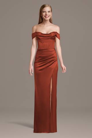 burnt orange bridesmaid dresses david's bridal DAVID'S BRIDAL LADIES FORMAL BURNT ORANGE BRIDESMAID DRESS - SIZE 20