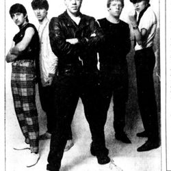 Hårek foto: Haugesunds Avis