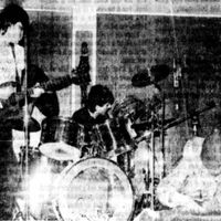 Wienerkameraden foto: Haakon Larsen/Haugesunds Avis