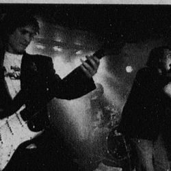 Vetel foto Rogalands Avis