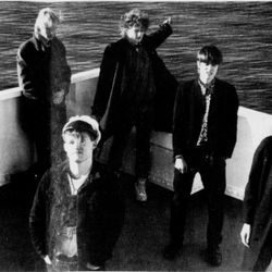 Im Nebel foto Haugesunds Avis