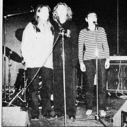 Septica foto: Strandbuen