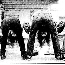 Birdbus foto: Vibeche Lykke-Olsen /Stavanger Aftenblad