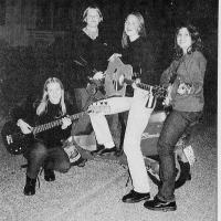 Tri Vilde og ei te foto: Strandbuen