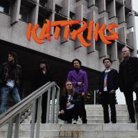 Kattrix Sommeren 2016