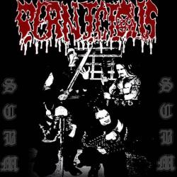 Pernicous, Edwin Borsheims black metal prosjekt