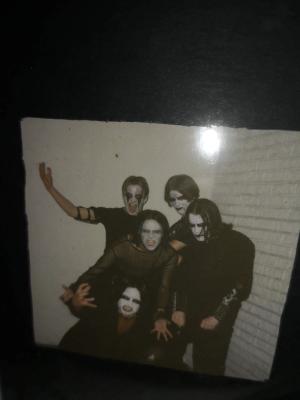 Reptile foto tilhører Thor Erik Helgesen