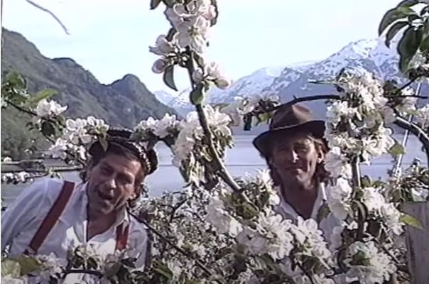 Skjermdump fra Busserulls video Plukka plommer i Hardanger.