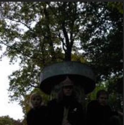 Mourning Leaves foto last.fm