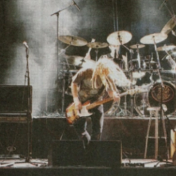 Bikkjaa foto Haugesunds Avis