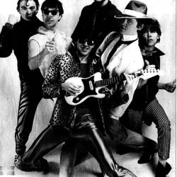 Hårek VBildet fra Haugesunds Avis