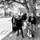 Wayfaring Strangers foto hentet fra bandets Facebookside
