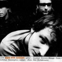 Vein foto Pål Christensen/Stavanger Aftenblad