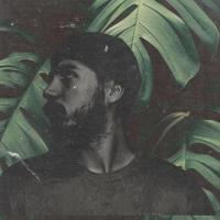 Myssaland foto hentet fra Urørt