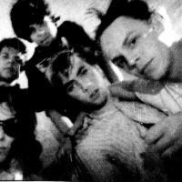 Squeel Foto: Alf - Robert Sommerbakk/Haugesunds avis